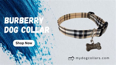 burberry dog collar|burberry dog collars and leashes.